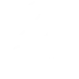 Contabilidade para Fisioterapeutas