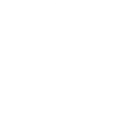 Contabilidade para Fonoaudiológos